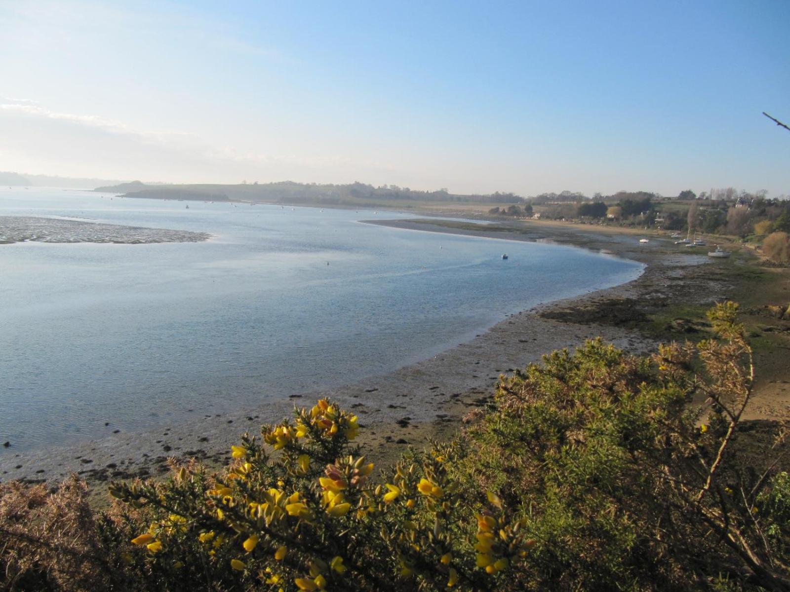 Les Cles Du Vallion, T2 Confort, Bord De Plage Et Paysages Saint-Jouan-des-Guérets Kültér fotó